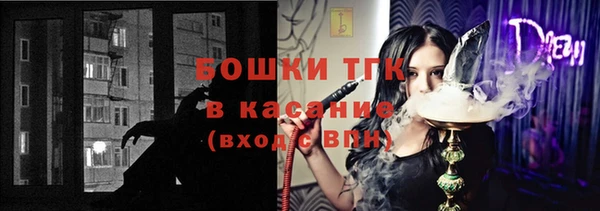 ГАЛЛЮЦИНОГЕННЫЕ ГРИБЫ Новодвинск