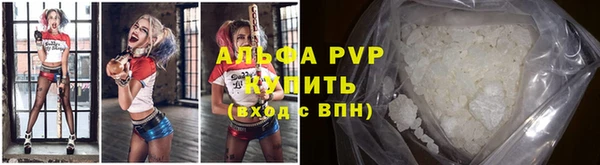 гидра Арсеньев
