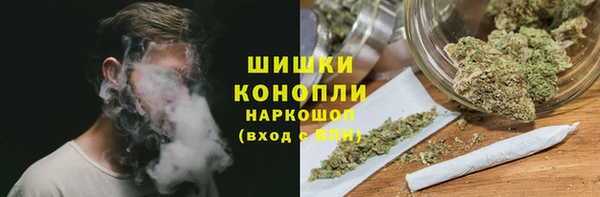 гидра Арсеньев