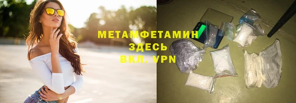 прущие грибы Сосновоборск