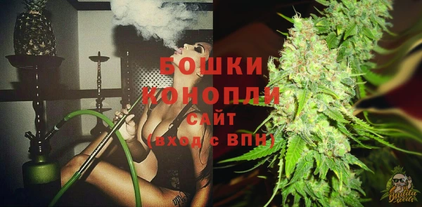 ГАЛЛЮЦИНОГЕННЫЕ ГРИБЫ Новодвинск