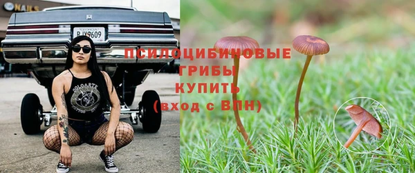 дмт Новокубанск